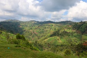 M_Kiptanui_EIWF (12)