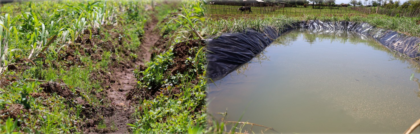 From Runoff to Resource