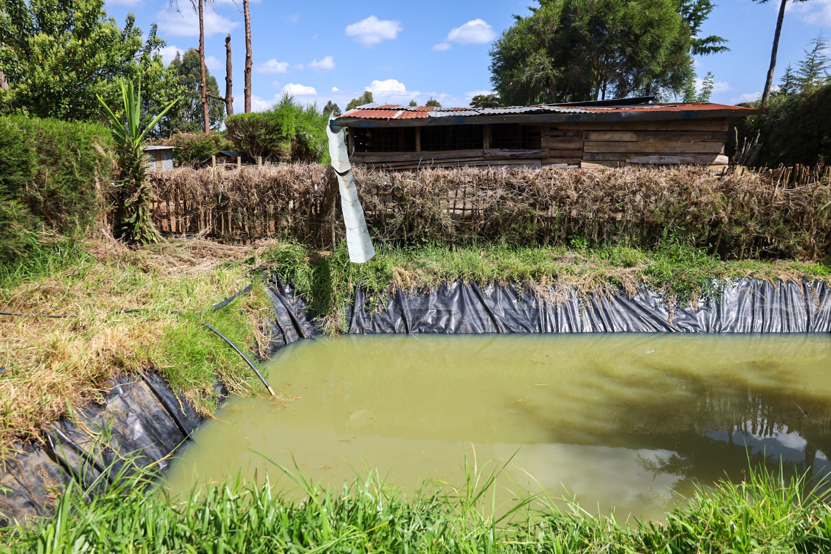 Securing water, restoring nature.